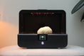 Load image into Gallery viewer, Sproushi - Matte Black
